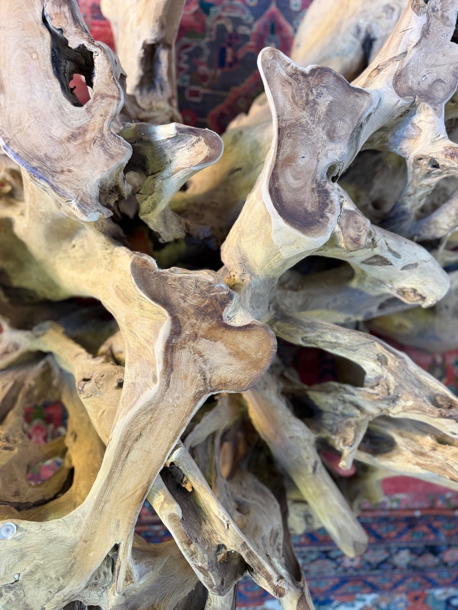 Large Teak Root Coffee Table-photo-7