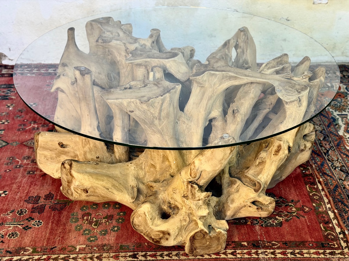 Large Teak Root Coffee Table