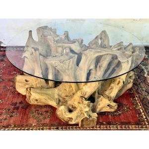 table basse racine de teck grd format