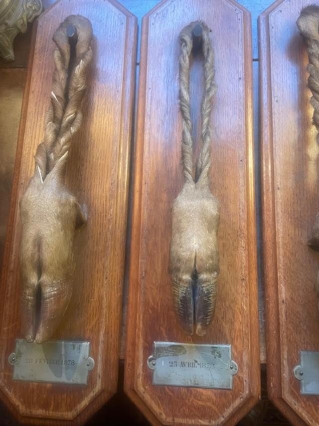 Lot Of 4 Feet Of Honor From The End Of The 19th Century-photo-3
