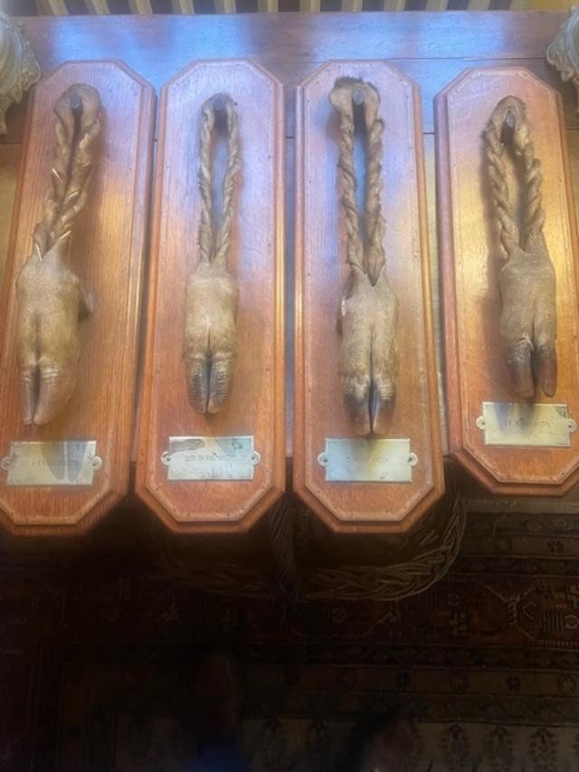 Lot Of 4 Feet Of Honor From The End Of The 19th Century-photo-2