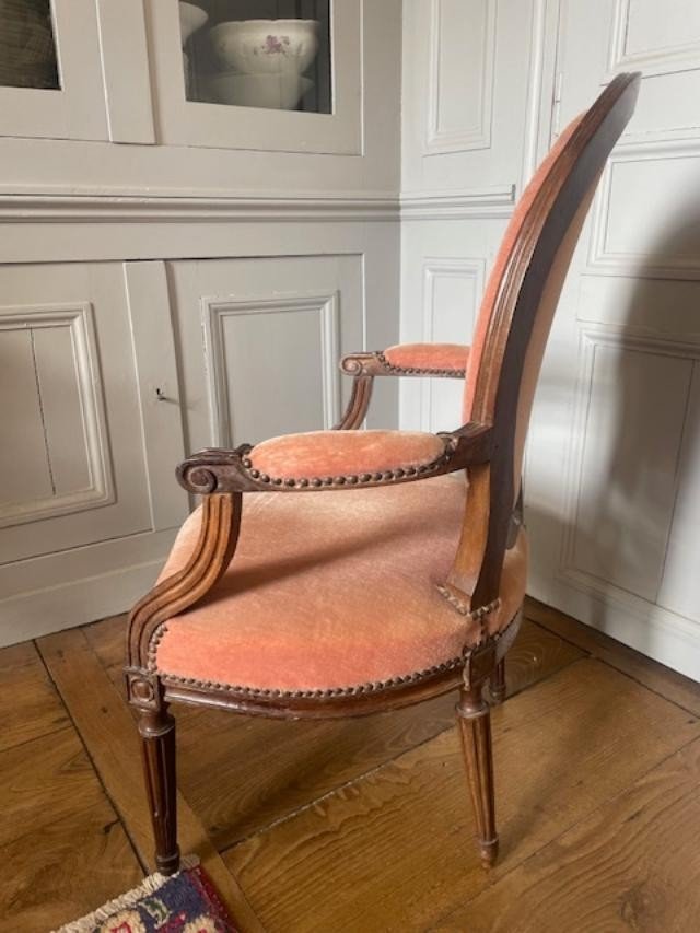 Pair Of Louis XVI Period Medallion Armchairs-photo-4