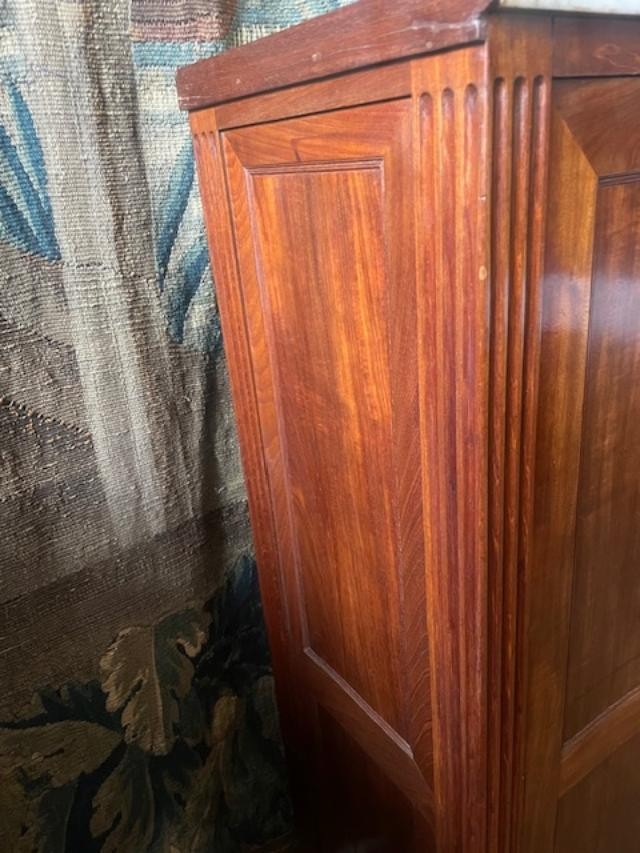 Louis XVI Period Mahogany High-height Cabinet-photo-4