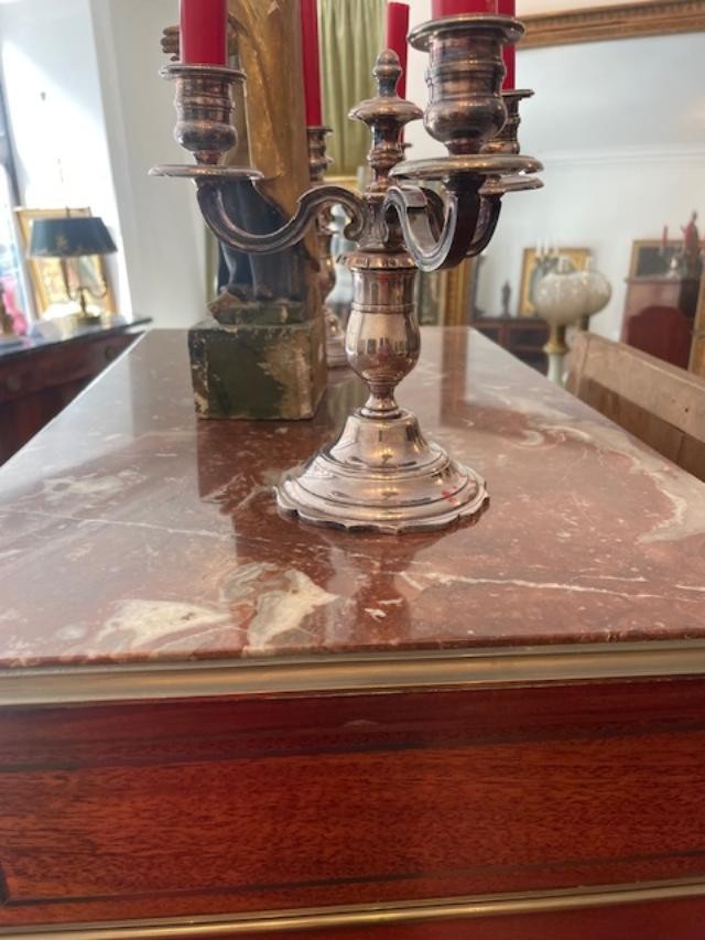 Display Case In Veneered Wood With Gallant Scenes In Martin Varnish In Louis XVI Style-photo-3