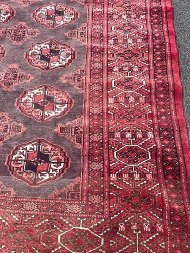 Grand tapis Boukhara milieu XX ème-photo-2
