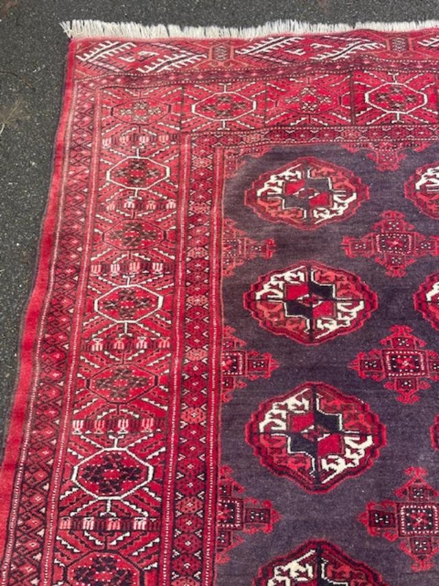 Grand tapis Boukhara milieu XX ème-photo-4