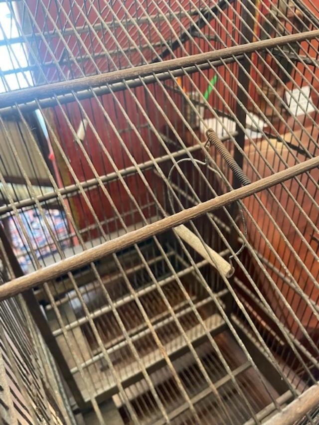 Cage à oiseaux en bois et métal des années 1900-photo-2
