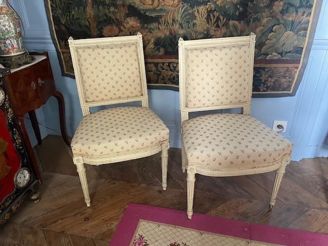 Pair Of Louis XVI Style Chairs