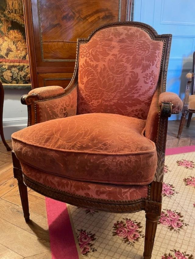 Louis XVI-era Natural Wood Bergère Chair