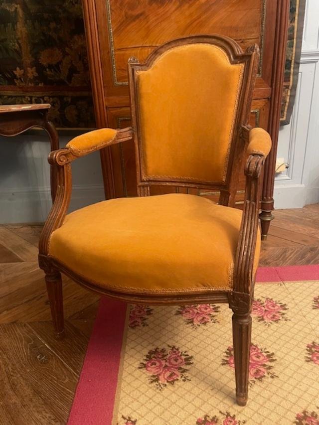 Fauteuil 18 ème en cabriolet en bois naturel d'époque Louis XVI