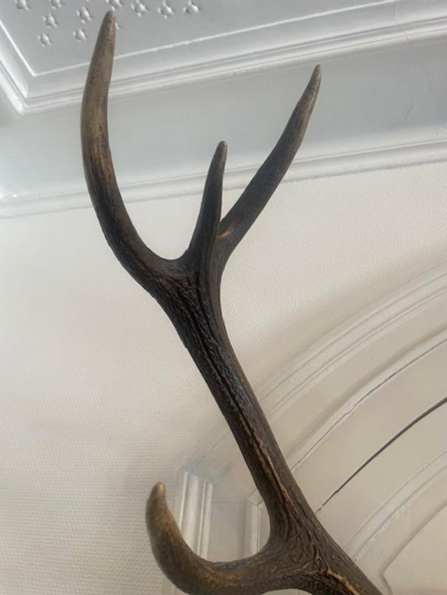 Large Pair Of Deer Antlers Dated 1924-photo-3