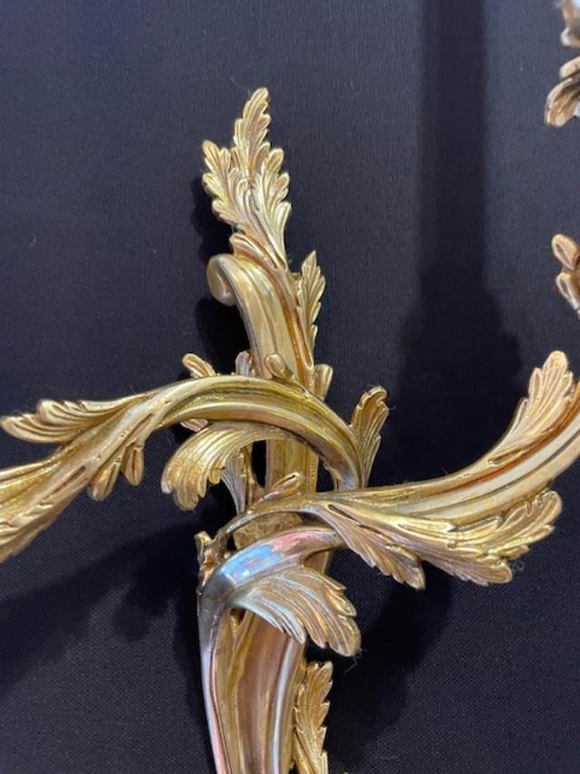 Paire d'appliques en bronze doré de style Louis XV-photo-4