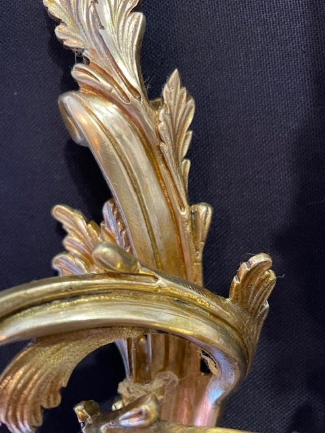 Paire d'appliques en bronze doré de style Louis XV-photo-3