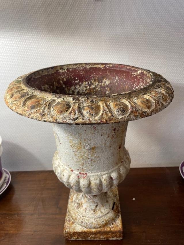 Vase médicis-photo-3