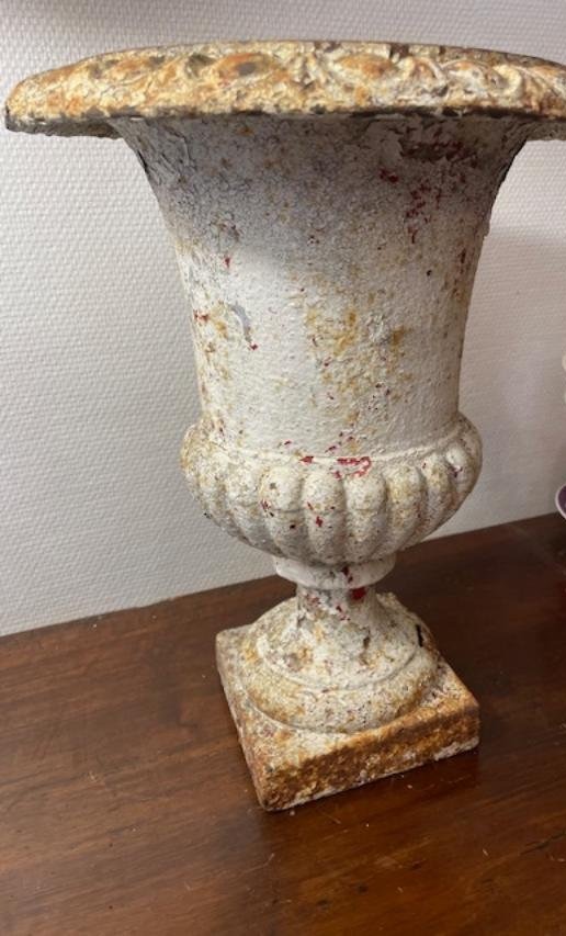 Vase médicis-photo-4