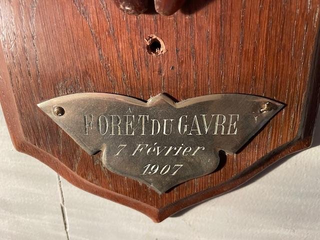 Pied d'Honneur, Gave Forest, 1907-photo-3