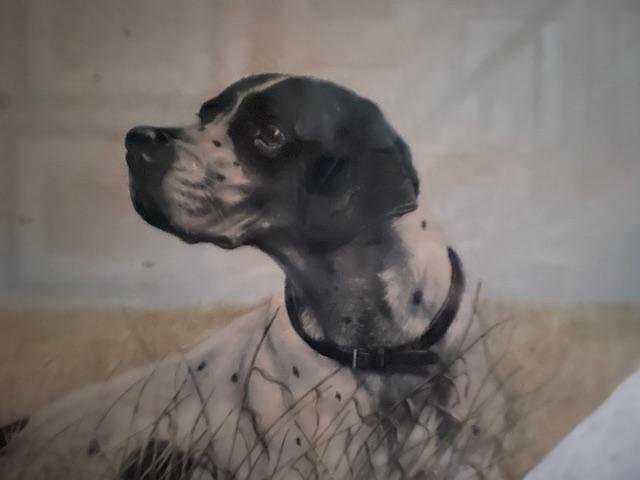 Dog On The Lookout, Léon Danchin-photo-3