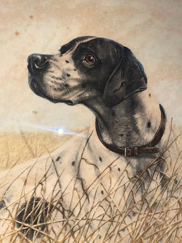 Dog On The Lookout, Léon Danchin-photo-1