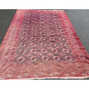 Premiere-Image-1673788