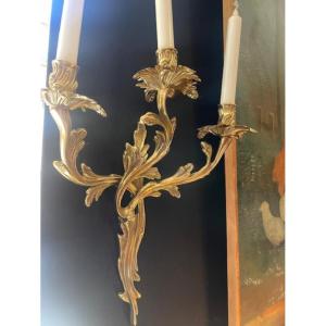 Paire d'appliques rocaille en bronze doré de style Louis XV