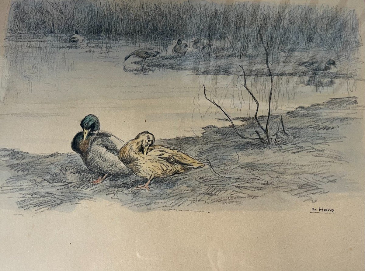 Charles Jean Hallo (1882-1969), Canards au bord d'un étang Solognot