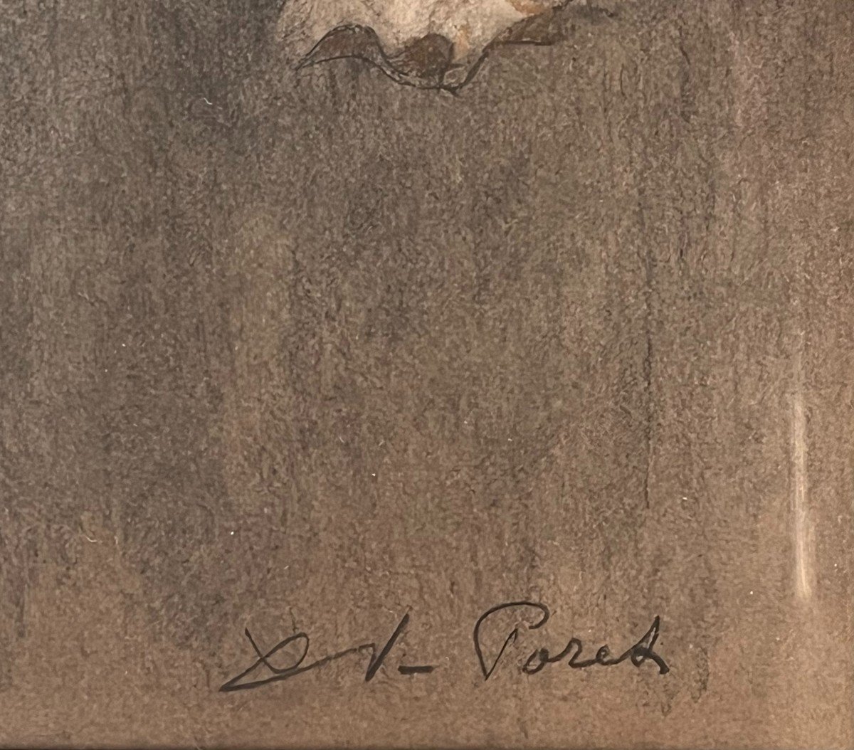 Xavier De Poret, Squirrels-photo-2