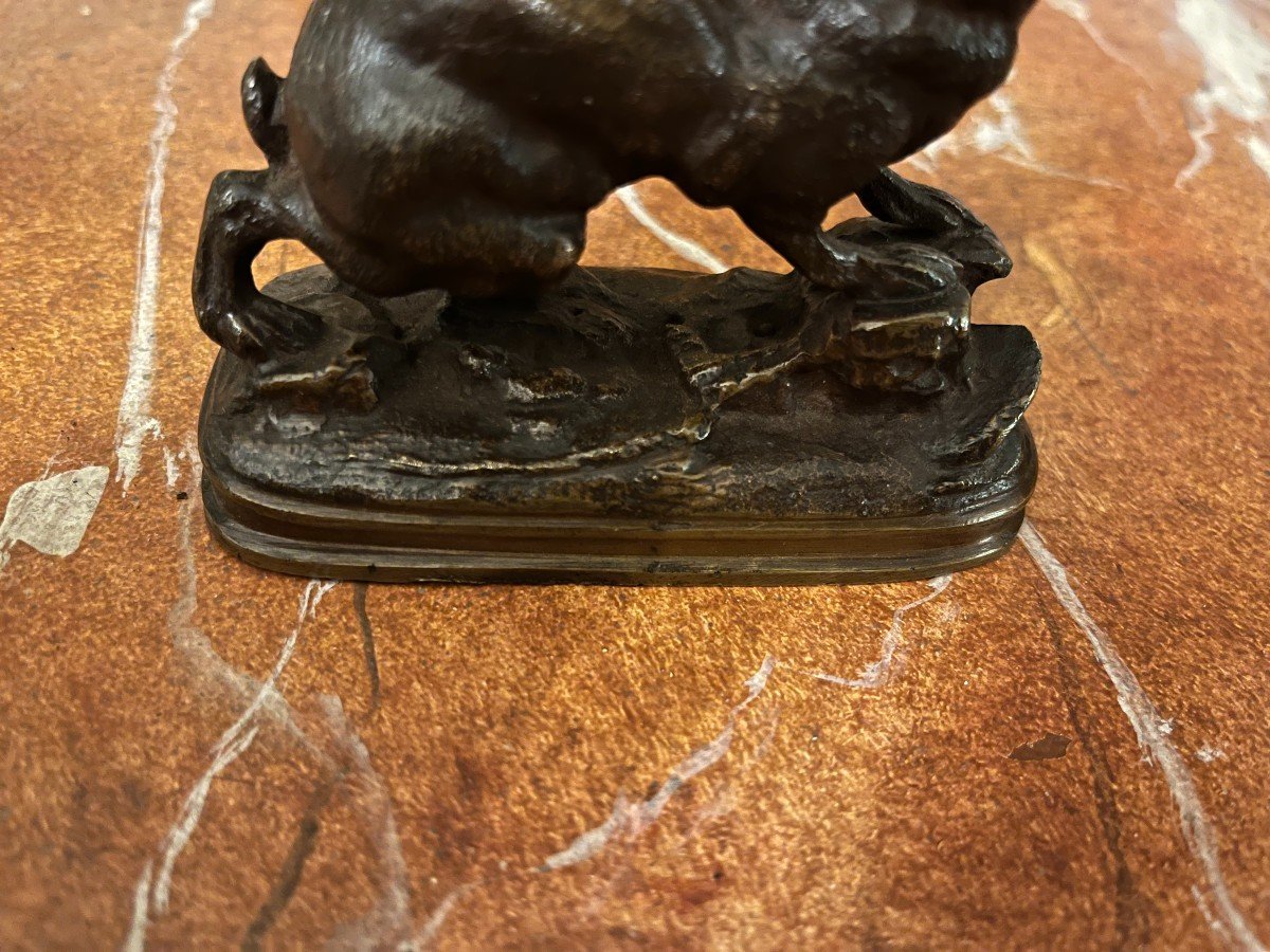 Bronze Animalier, Lièvre, école Françaie Du XIX° Siècle-photo-3