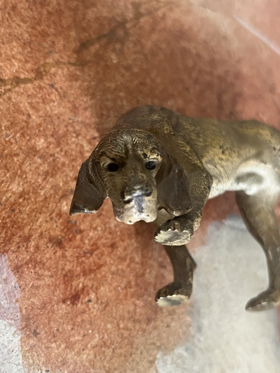 Bronze de Vienne, chien de chasse, Vénerie.-photo-3