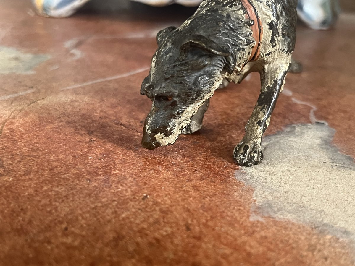 Vienna Bronze, Hunting Dog Or Hunting Dog-photo-3