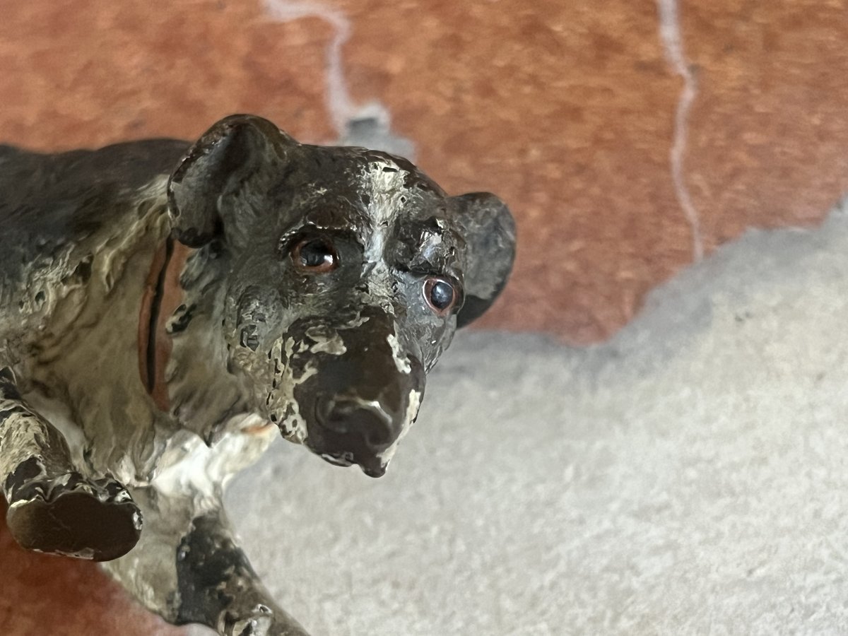 Vienna Bronze, Hunting Dog Or Hunting Dog-photo-4