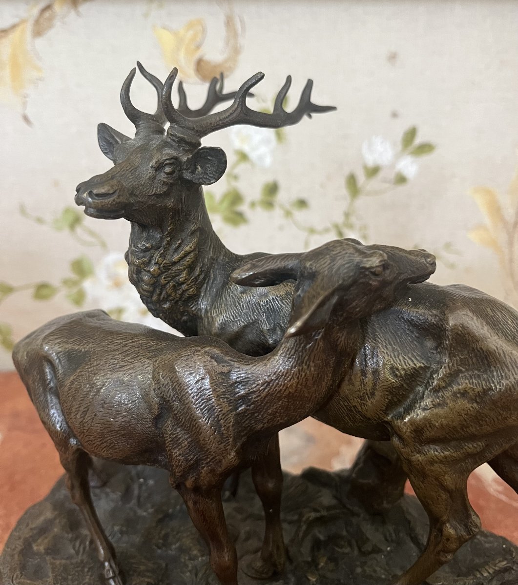 Alfred Dubucand, Animal Bronze Sculptures, Stag And Doe-photo-2