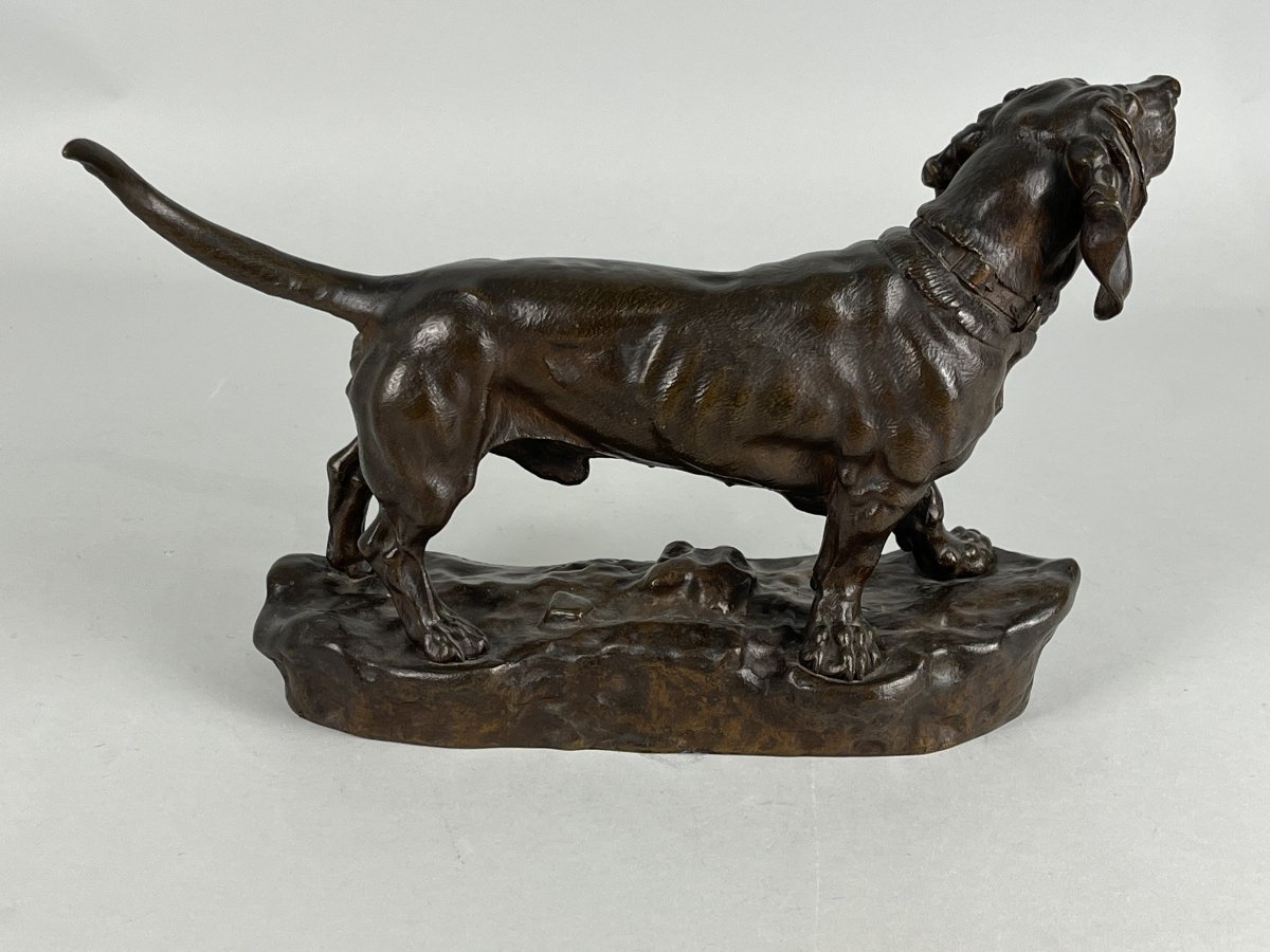 Jules Moignez, Animal Bronze Sculpture, Hunting Dog, Basset-photo-2