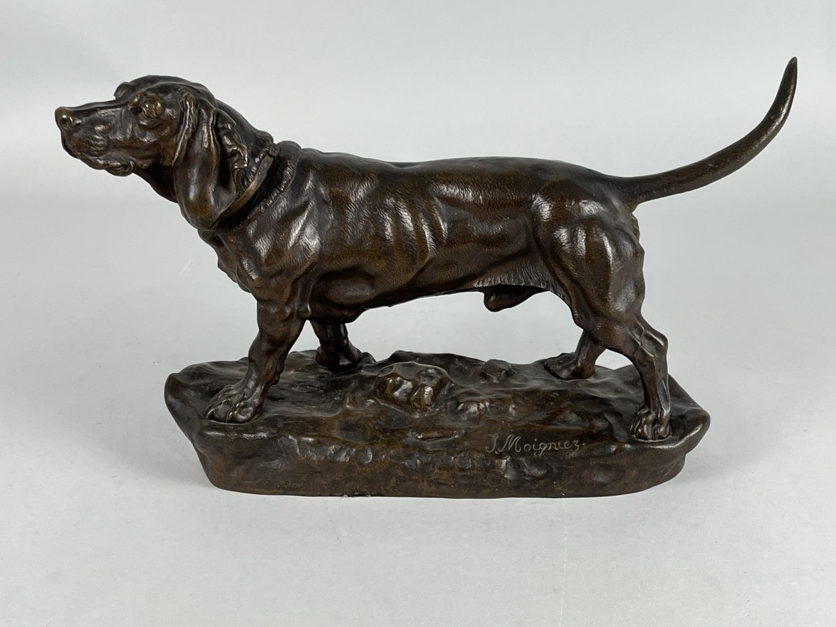 Jules Moignez, Animal Bronze Sculpture, Hunting Dog, Basset-photo-4