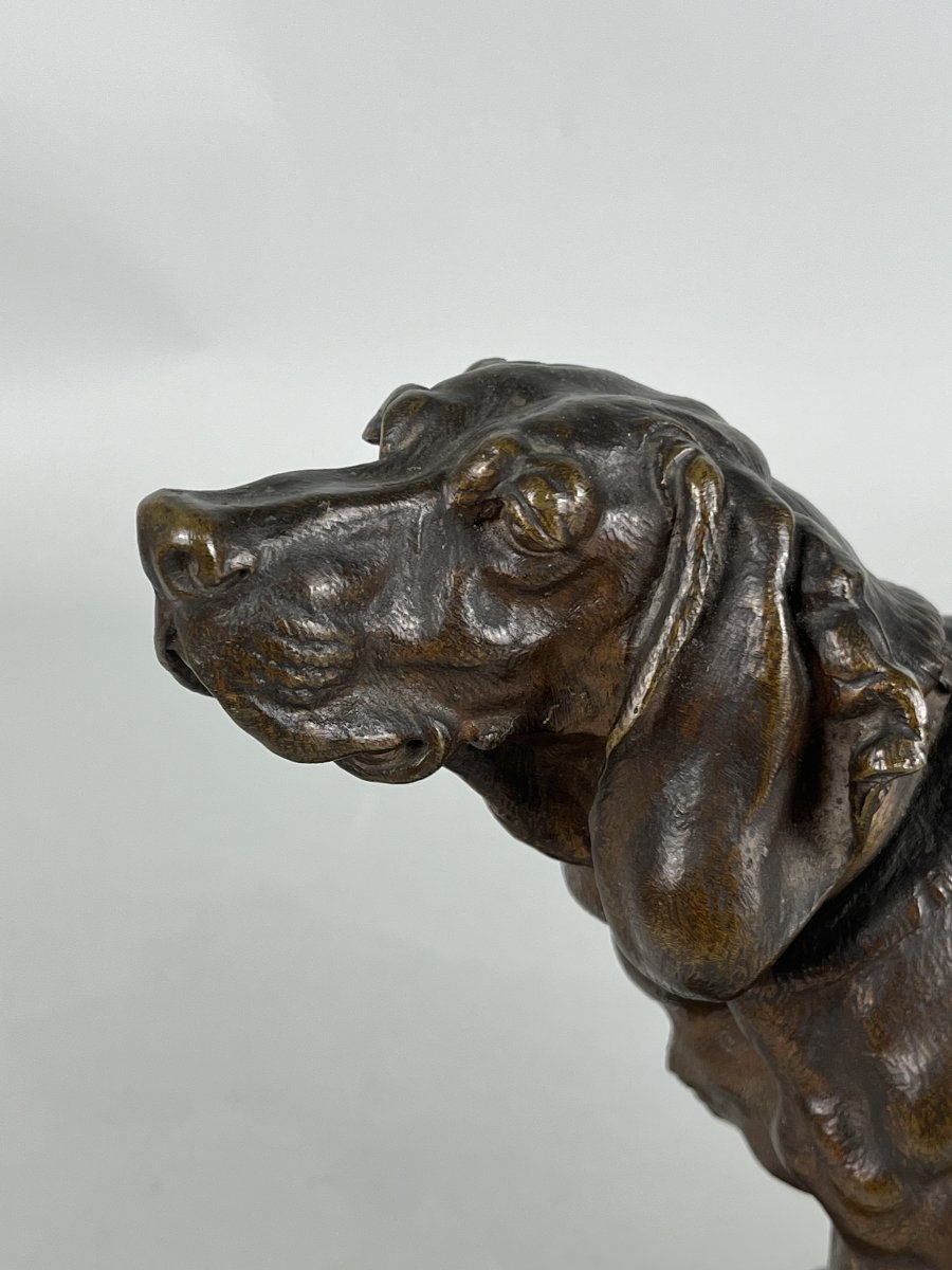 Jules Moignez, Animal Bronze Sculpture, Hunting Dog, Basset