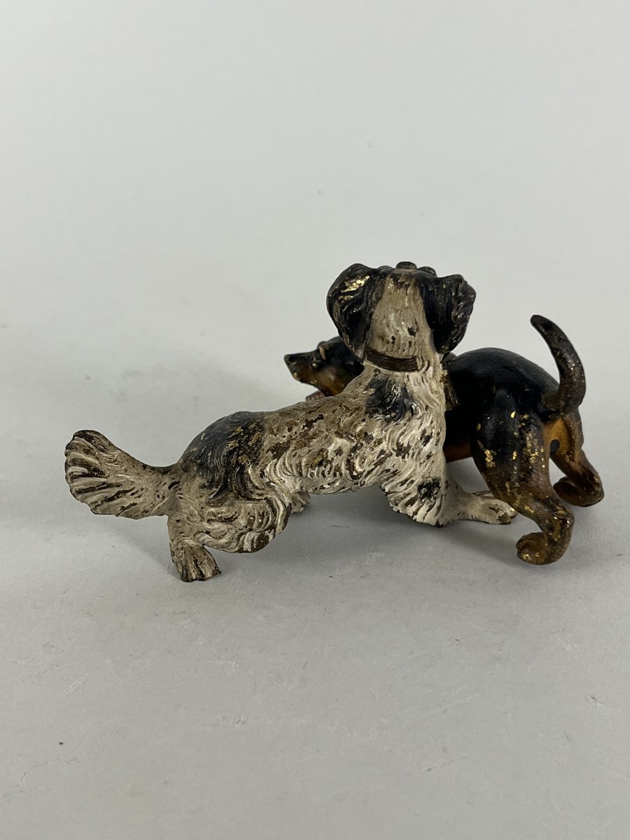 Vienna Bronze, Dog-photo-3