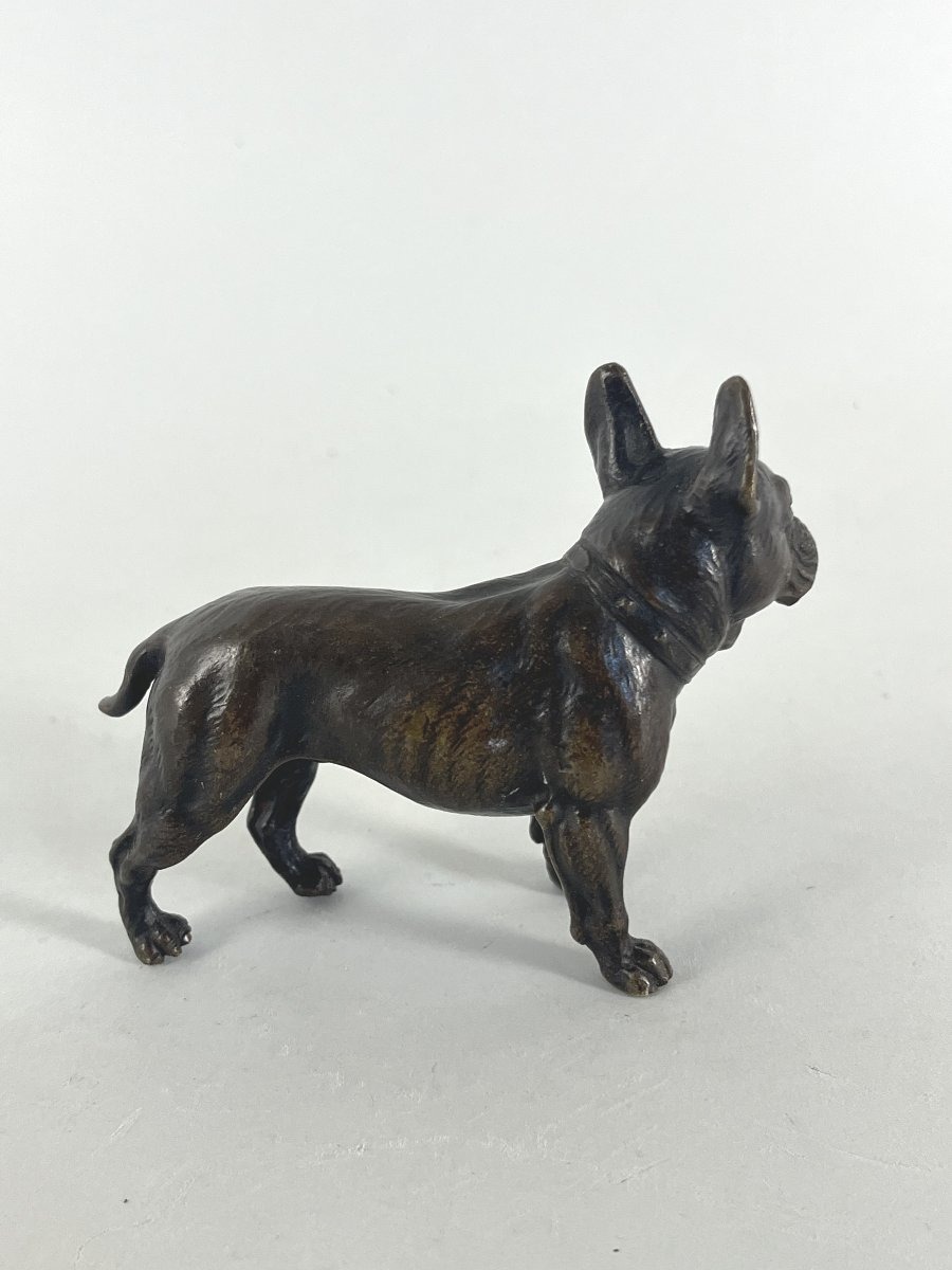 Animal-themed Bronze Sculpture, Bulldog-photo-2