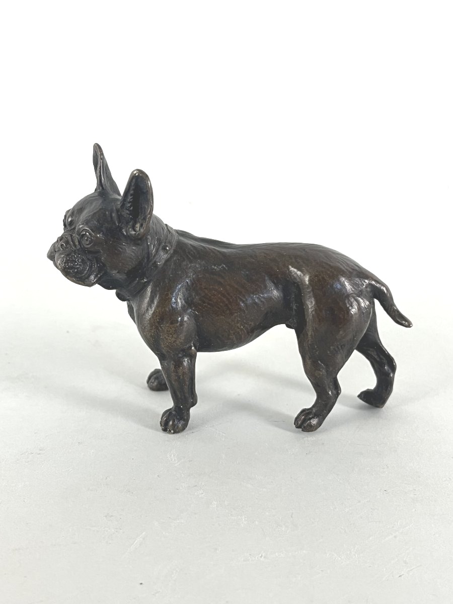 Animal-themed Bronze Sculpture, Bulldog-photo-3