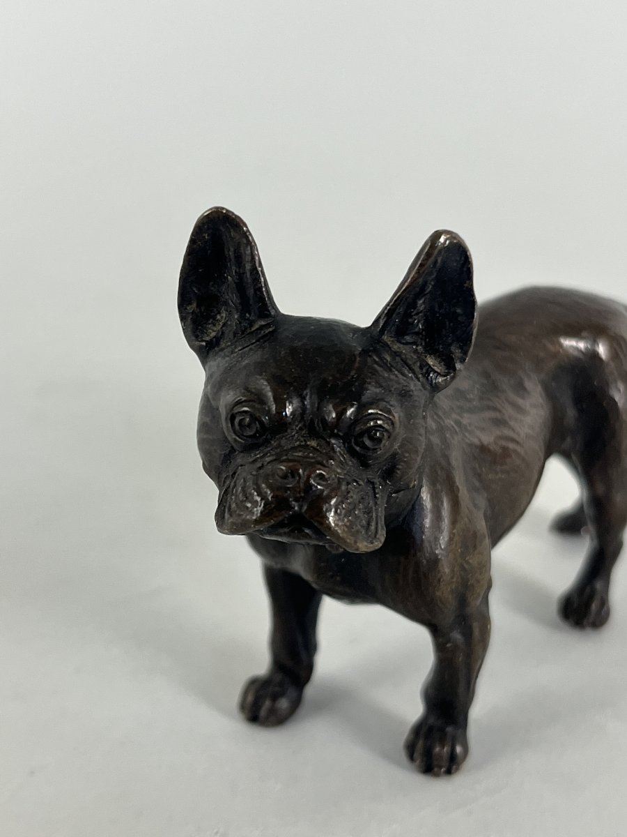 Animal-themed Bronze Sculpture, Bulldog
