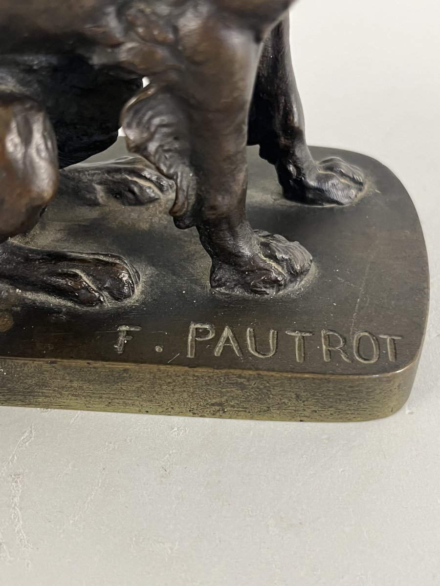 Ferdinand Pautrot, Hunting Dog, Duck Setter, Teal-photo-2