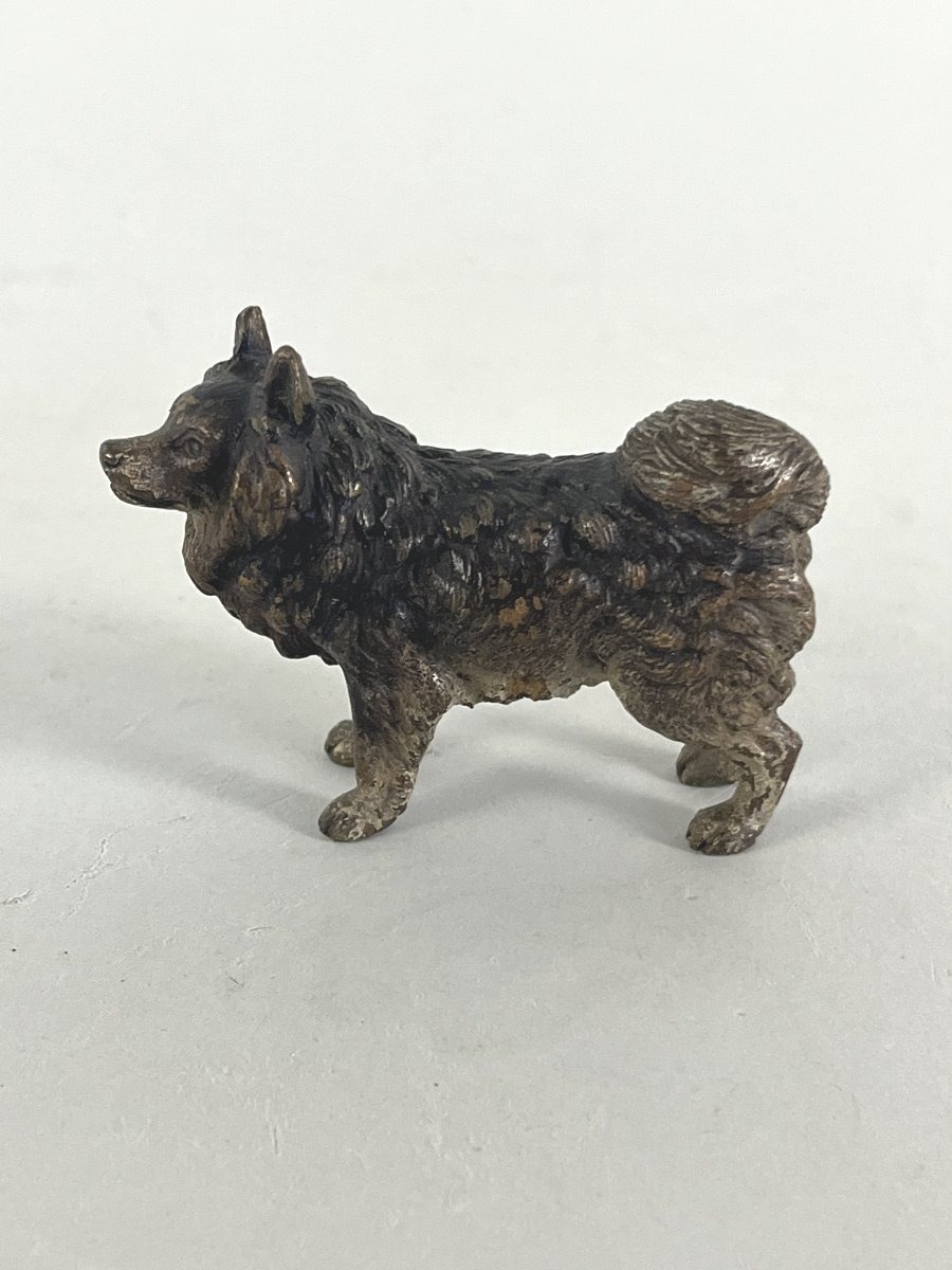 Vienna Bronze, Dog.