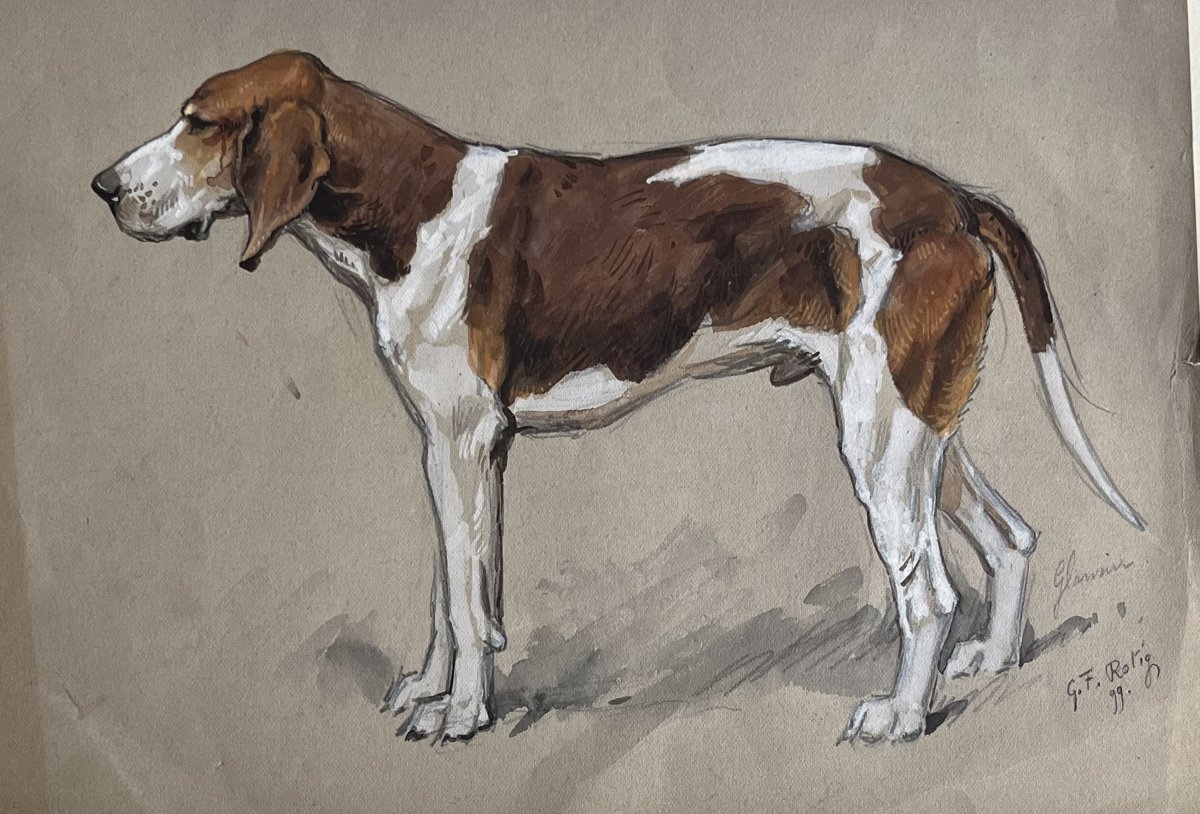 Georges Frederic Rotig, chien de meute, chasse, vénerie