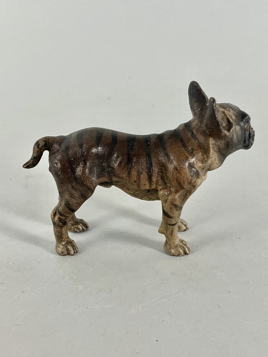 Bronze de Vienne, chien , Bull Dog-photo-3