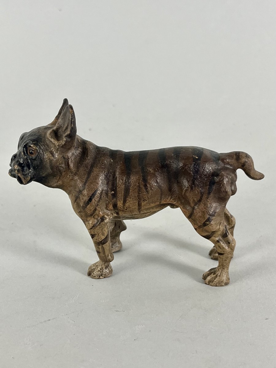 Bronze de Vienne, chien , Bull Dog-photo-4