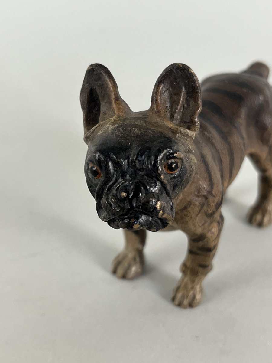 Bronze de Vienne, chien , Bull Dog