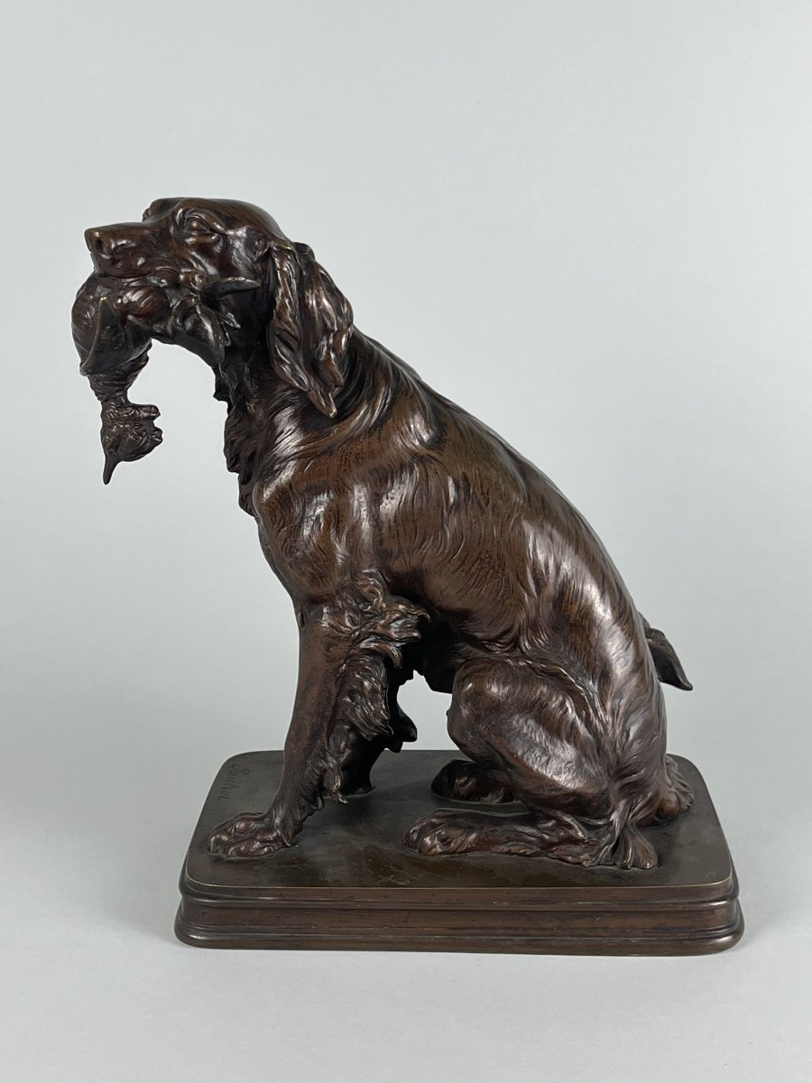 Ferdinand Pautrot, Hunting Dog, Duck Setter, Teal-photo-4