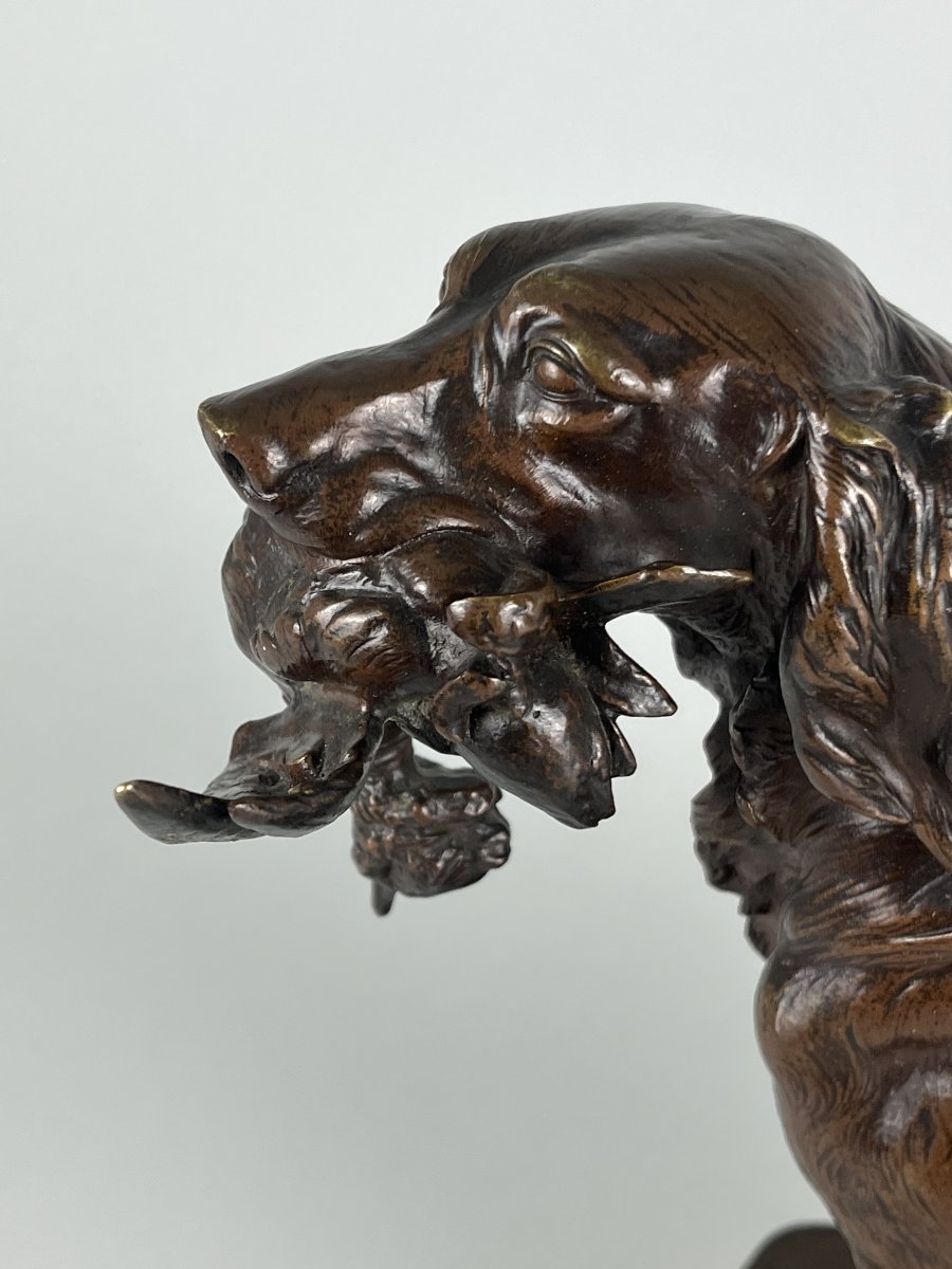 Ferdinand Pautrot, Hunting Dog, Duck Setter, Teal
