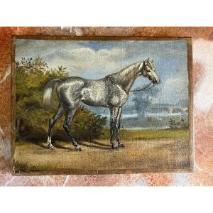 Gray Horse Painting