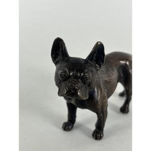 Animal-themed Bronze Sculpture, Bulldog