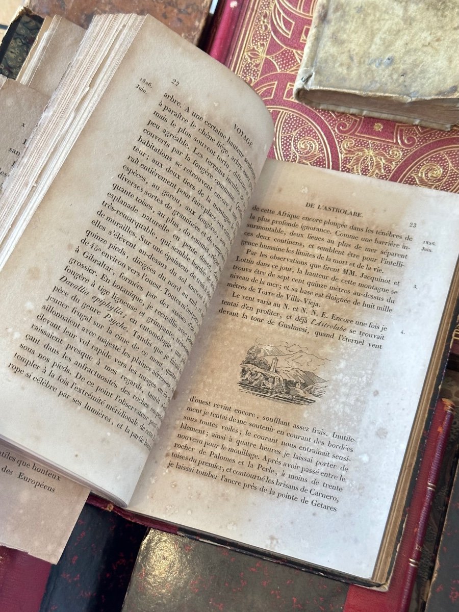 Dumont d'Urville Voyage Of The Astrolabe In Search Of La Pérouse 1832 Edition-photo-6