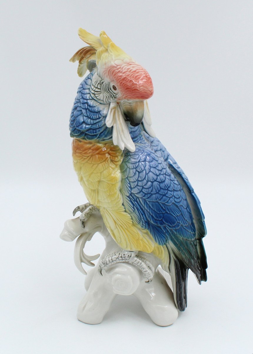 Karl Ens Large Enameled Porcelain Bird Saxony Parrot Cockatoo H = 34 Cm